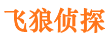 莲花市侦探调查公司